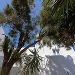 Aparthotel Elena & 3*