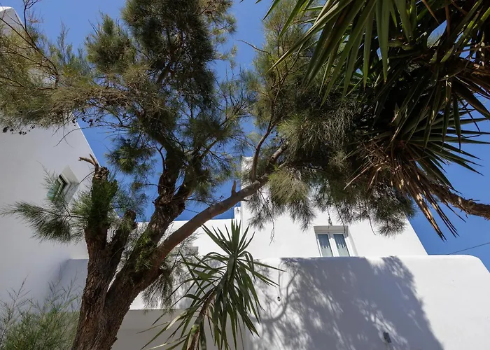 Aparthotel Elena & 3*